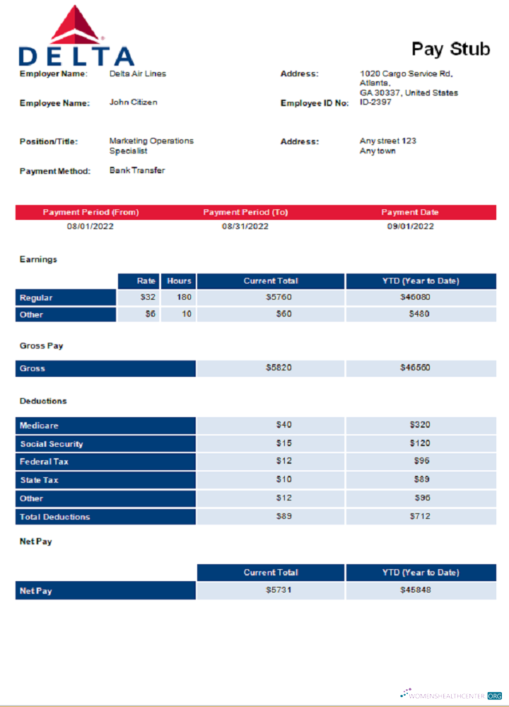 Download USA Delta Air Lines airlines company pay stub Photoshop template